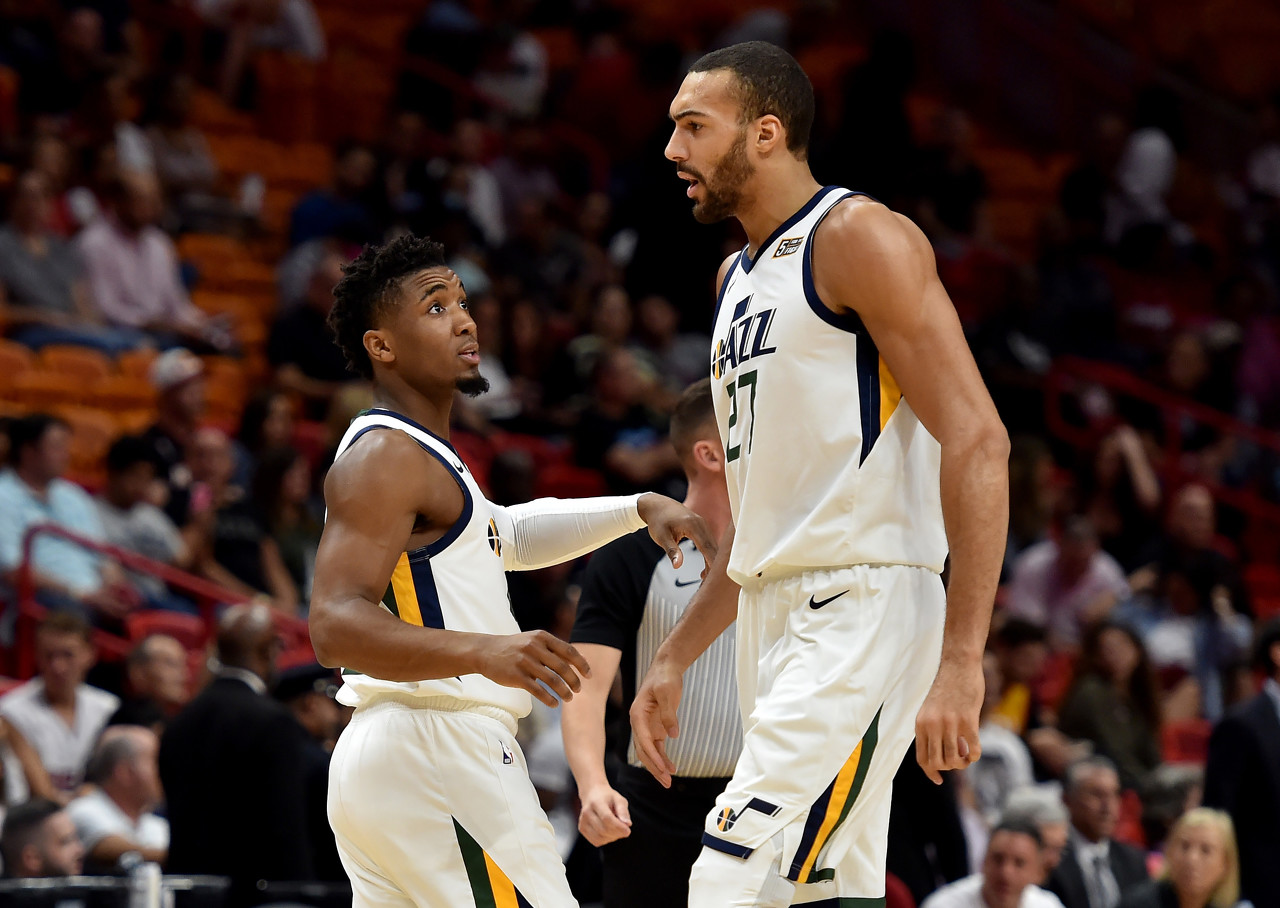 的结果不仅 的结果不仅