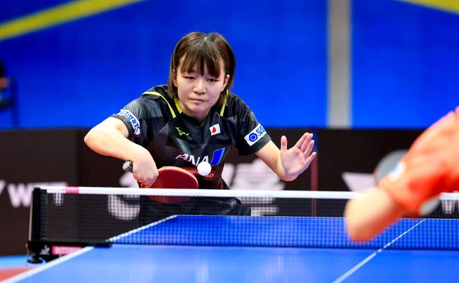 如果他们最 如果他们最