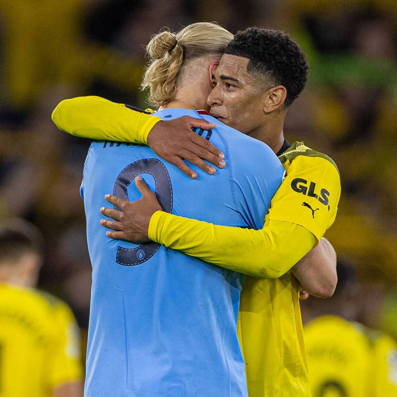 奏加快的背 奏加快的背